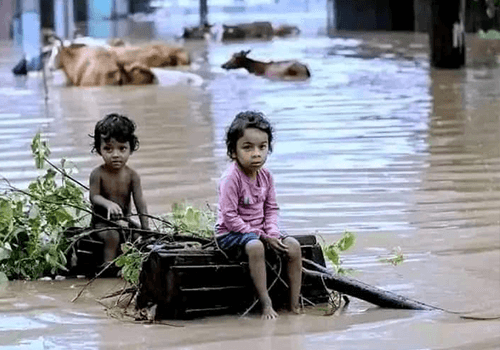 flood victims in bangladesh