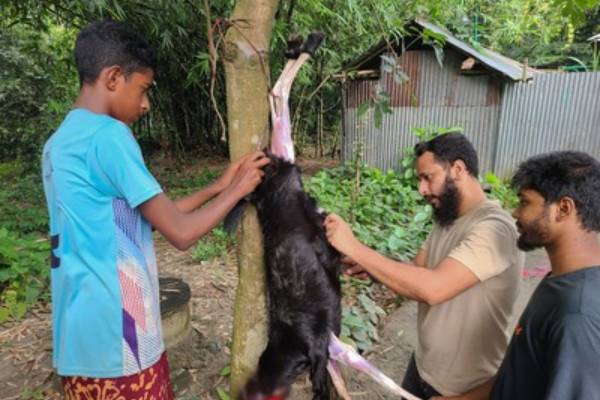 Qurbani Meat Distribution Program 2026