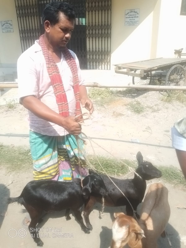 Meat_Distribution